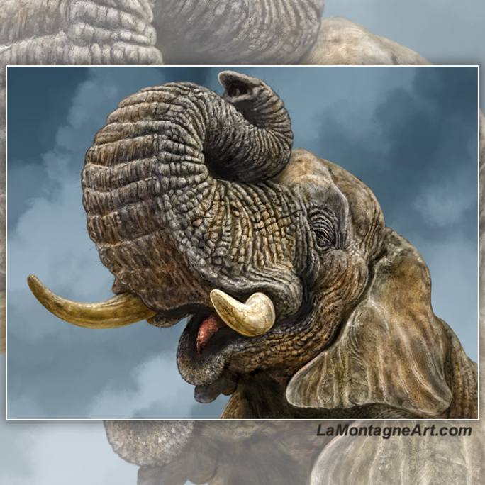 African Elephant