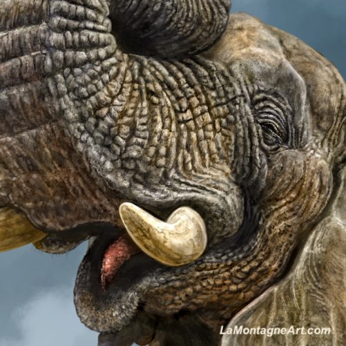 African Elephant - Image 3