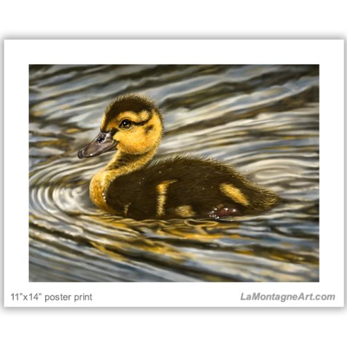 Duckling - Image 2