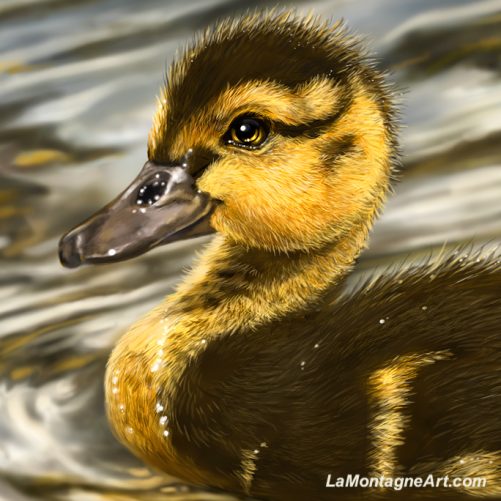 Duckling - Image 3