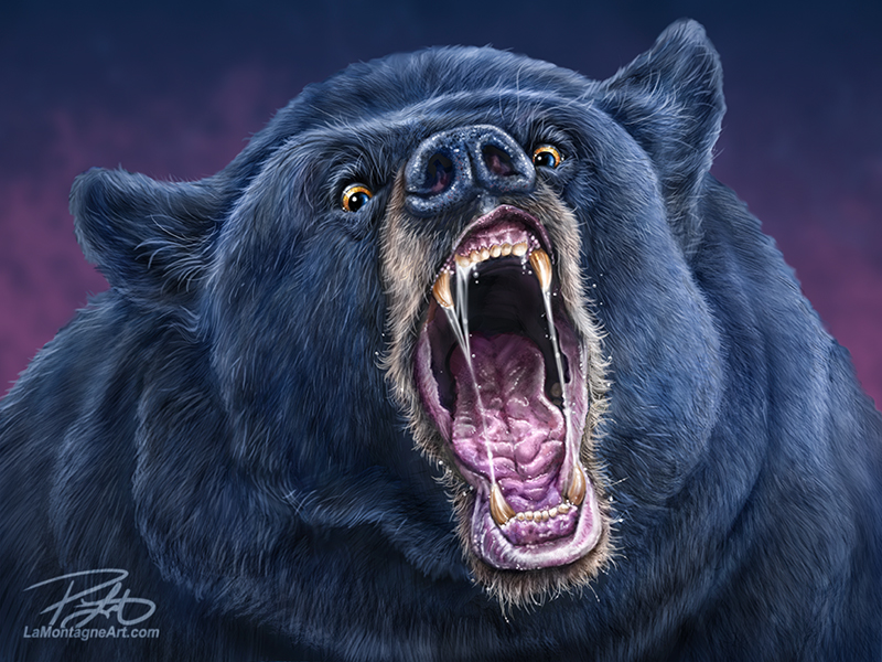 angry bear drawing