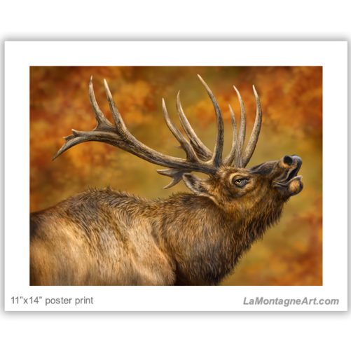 Bugle Boy - Image 2