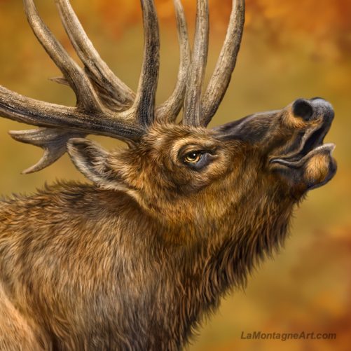 Bugle Boy - Image 3