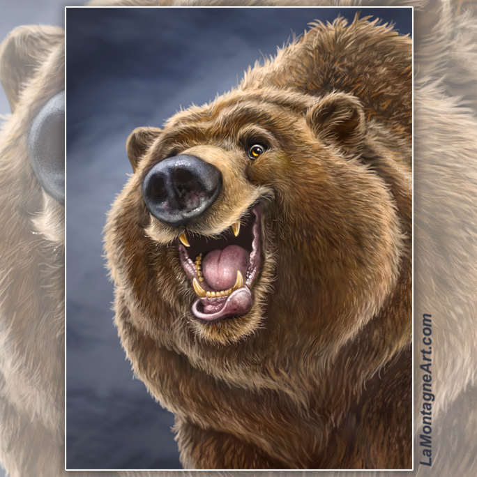 Hey Bear