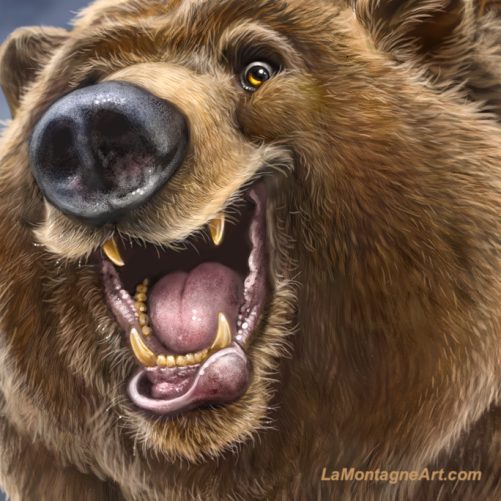 Hey Bear - Image 3