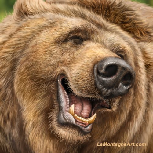 Laughing Bear - Image 3