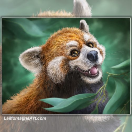 Red Panda