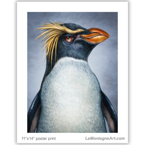 Rockhopper Penguin - Image 2