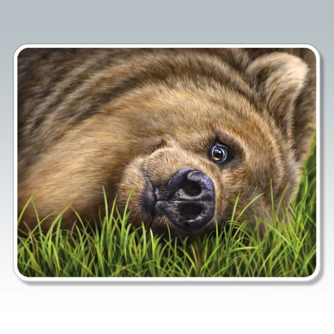 Grizzly on Grass Sticker