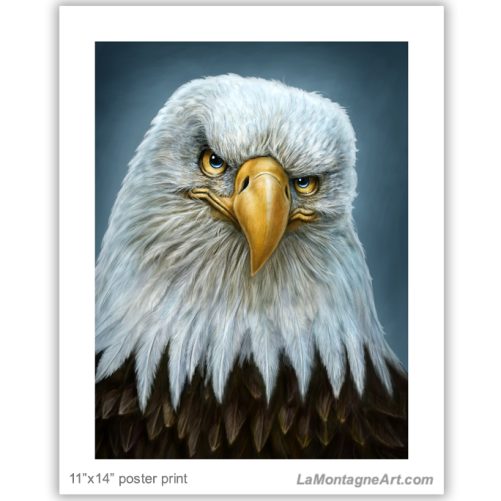 Bald Eagle - Image 2