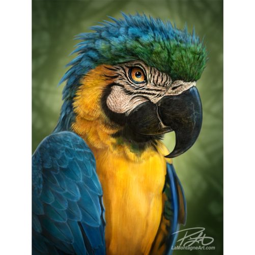 Parrot Puzzle - Image 2
