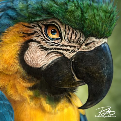 Parrot Puzzle - Image 3