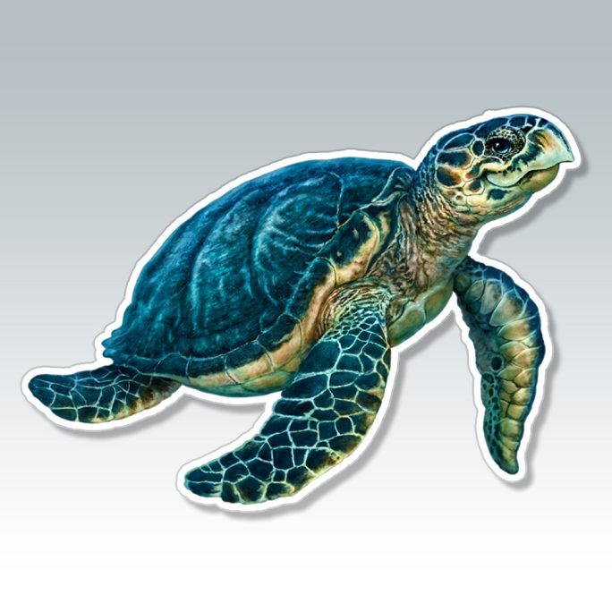 Sea Turtle Sticker