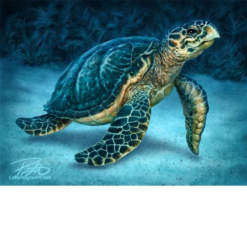 Sea Turtle Puzzle - Image 2