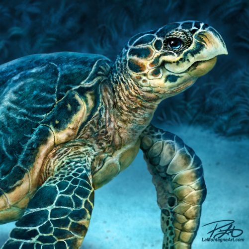 Sea Turtle Puzzle - Image 3