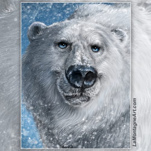 Blizzard Bear