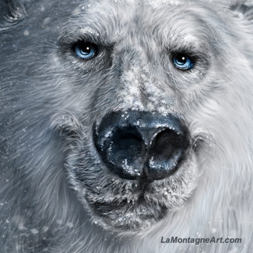 Blizzard Bear - Image 3