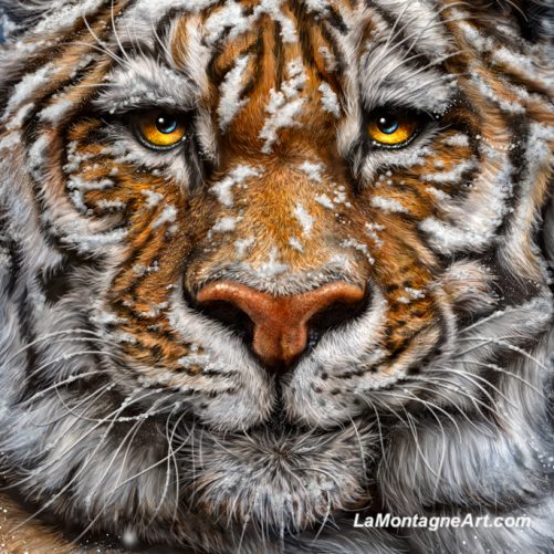 Winter Tiger - Image 3