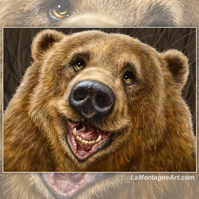 Genial Grizzly