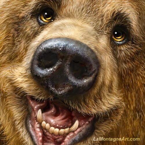 Genial Grizzly - Image 3