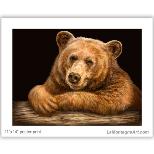 Golden Bear - Image 2