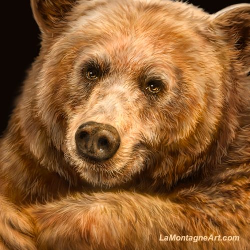 Golden Bear - Image 3