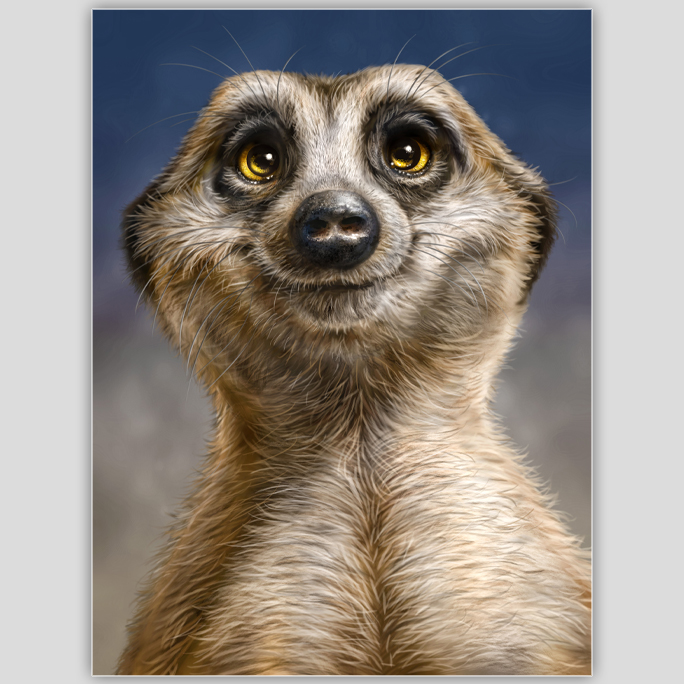 Meerkat