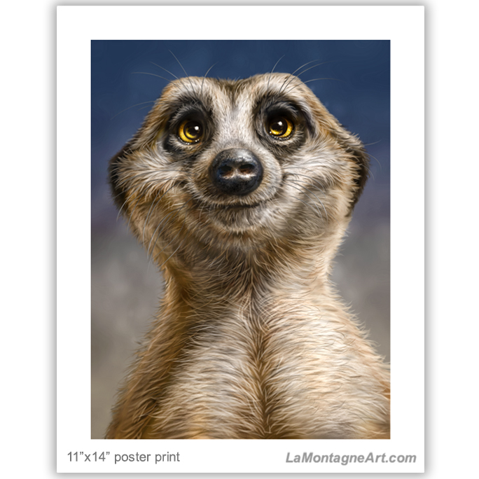 Meerkat - Image 2