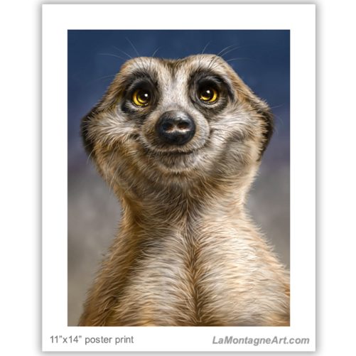 Meerkat - Image 2