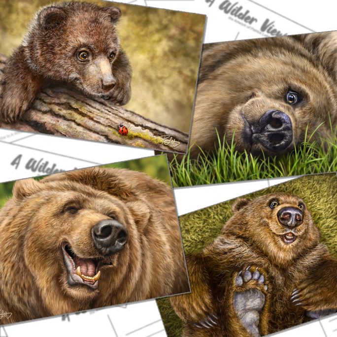 Brown Bear Postcard Set