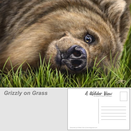 Brown Bear Postcard Set - Image 3