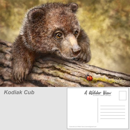 Brown Bear Postcard Set - Image 2