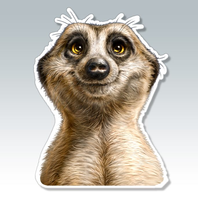 Meerkat Sticker