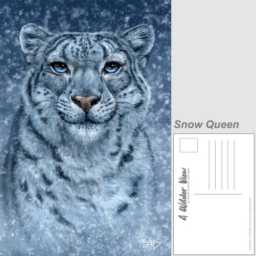 Wild Cat Postcard Set - Image 5