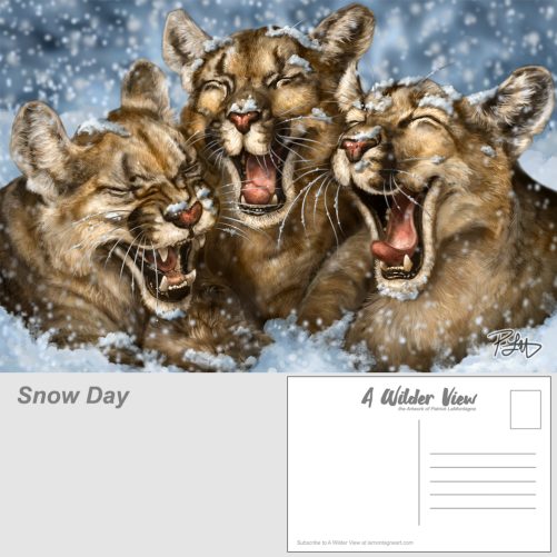 Wild Cat Postcard Set - Image 3