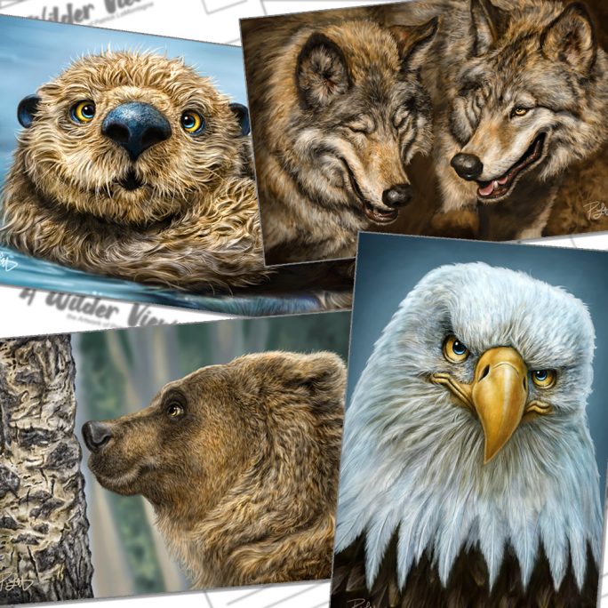 West Coast Postcard Set