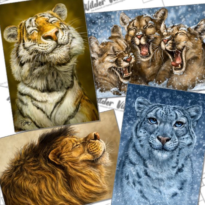 Wild Cat Postcard Set