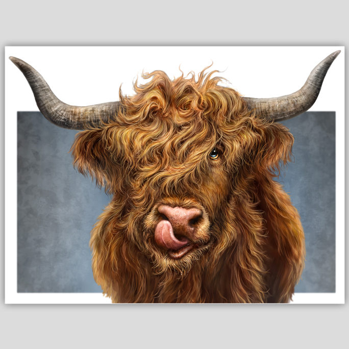 Highland Cow