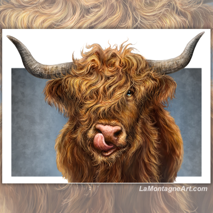 Highland Cow