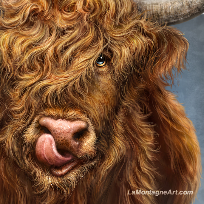 Highland Cow - Image 4