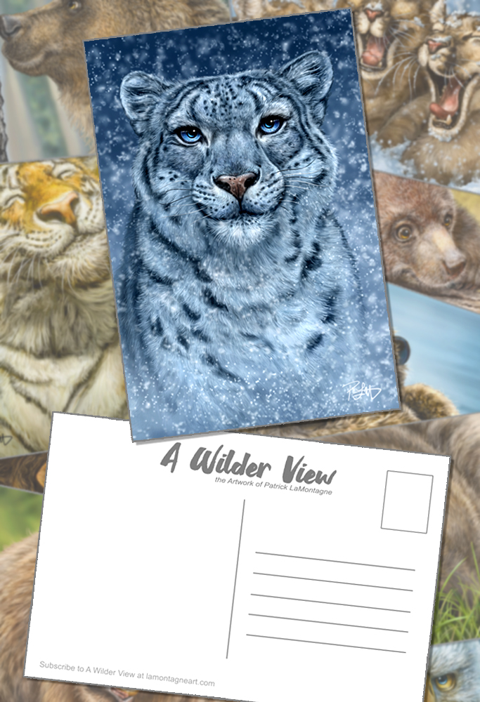 Postcards