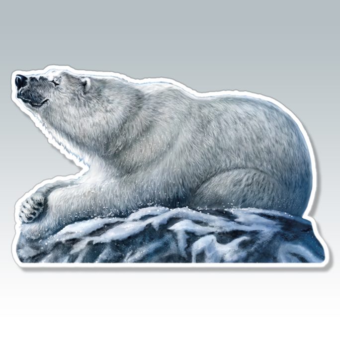 Big Bear On Blue Sticker