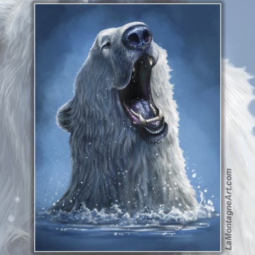 Polar Plunge