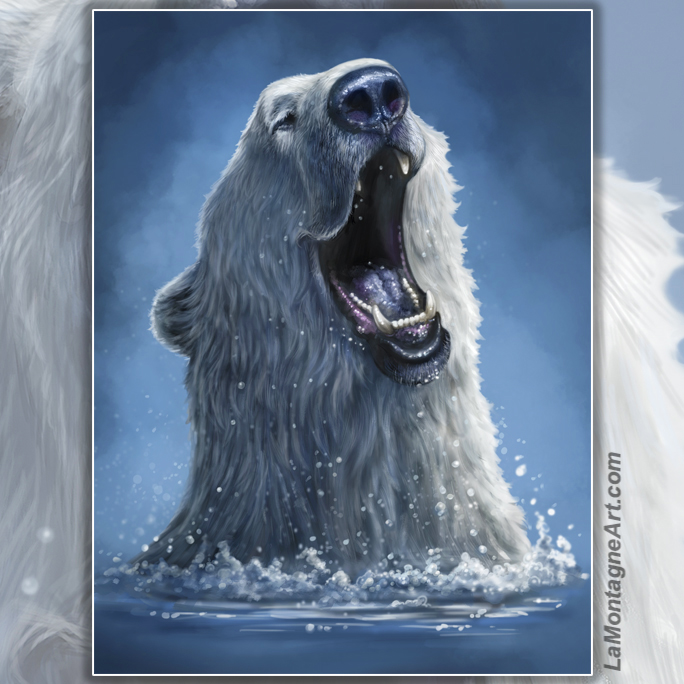 Polar Plunge
