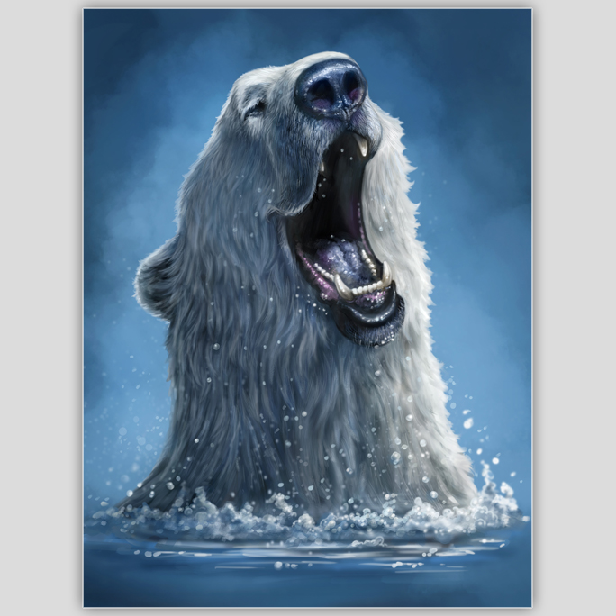 Polar Plunge
