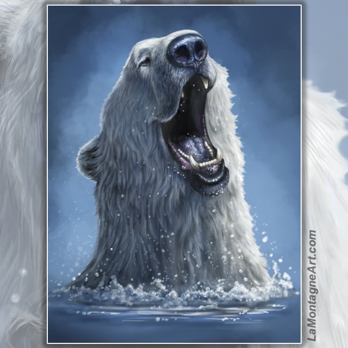 Polar Plunge