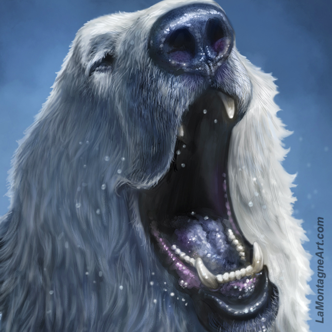 Polar Plunge - Image 4