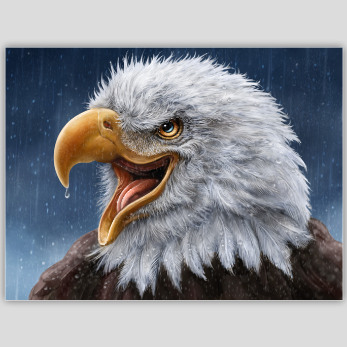 Raptor Rain