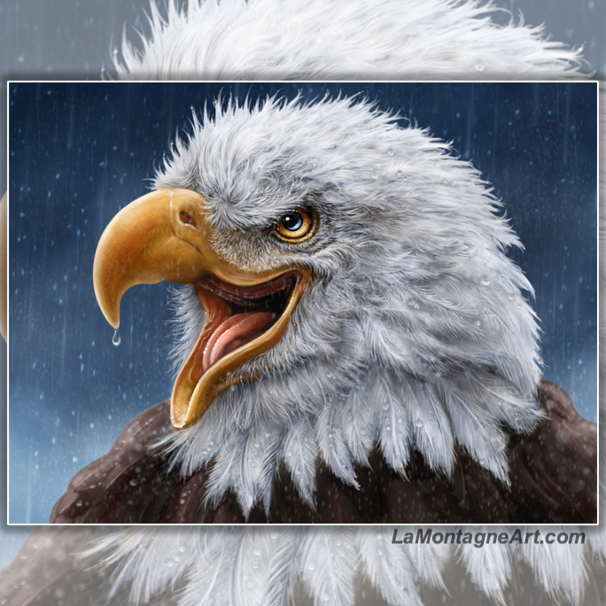 Raptor Rain