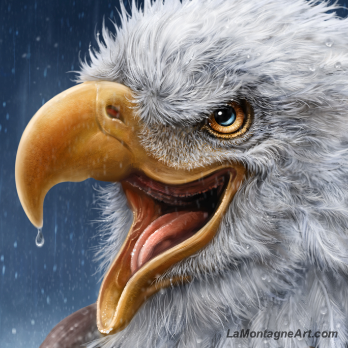 Raptor Rain - Image 4